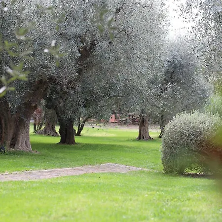Isola Degli Ulivi 리미니