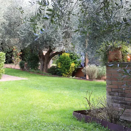 Isola Degli Ulivi *